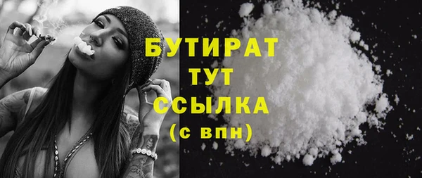 индика Няндома