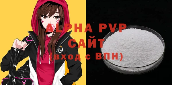 индика Няндома