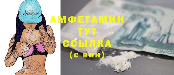 индика Няндома