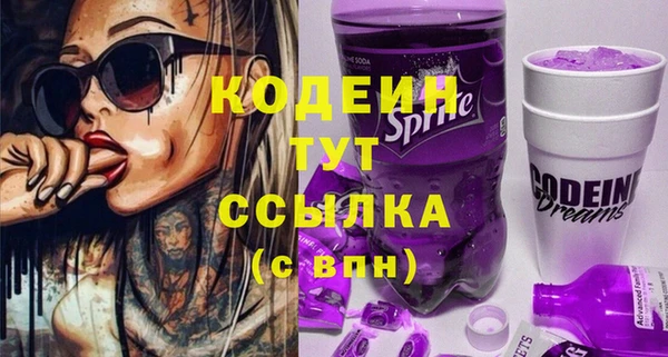индика Няндома