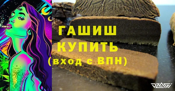 индика Няндома