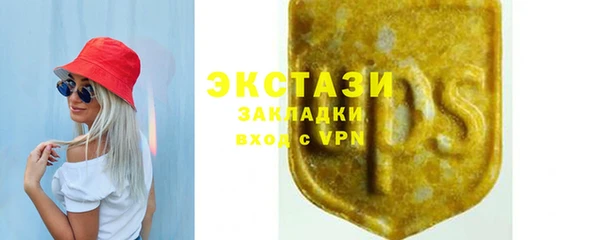 индика Няндома