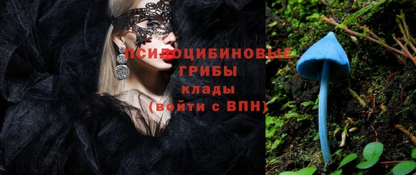 амф Осинники
