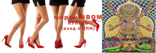 индика Няндома