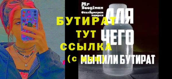 индика Няндома