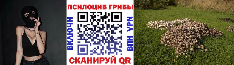 Галлюциногенные грибы Psilocybe  гидра рабочий сайт  Омск  закладки 