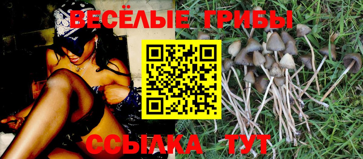 Галлюциногенные грибы Magic Shrooms Омск