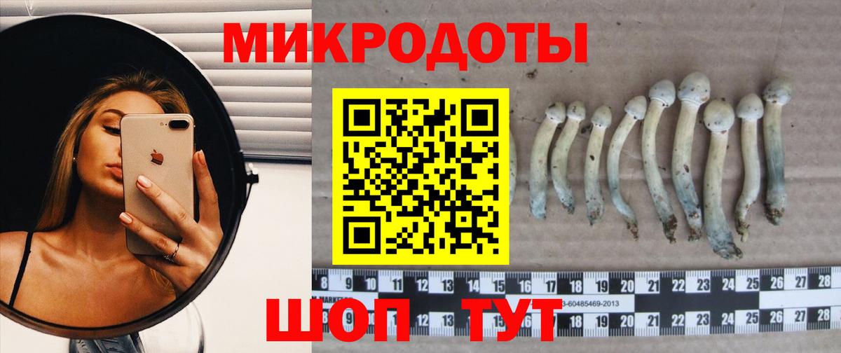 где продают наркотики  Омск  Галлюциногенные грибы GOLDEN TEACHER 