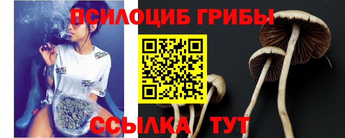 Омск  продажа наркотиков  Галлюциногенные грибы мухоморы  Вход с VPN  Псилоцибиновые грибы MAGIC MUSHROOMS 