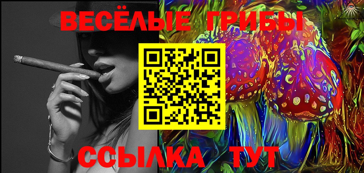 Псилоцибиновые грибы мицелий Омск